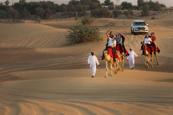 High Red Dunes with Camel Ride, Sandboarding, Falcon Show and VIP BBQ Dinner - Sunset, camels, and Bedouin-style seating
