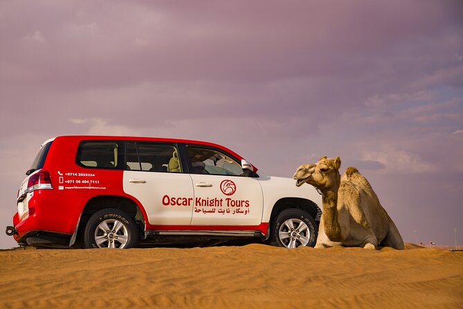 High Red Dunes with Camel Ride, Sandboarding, Falcon Show and VIP BBQ Dinner - Who will enjoy this seven-hour outing?