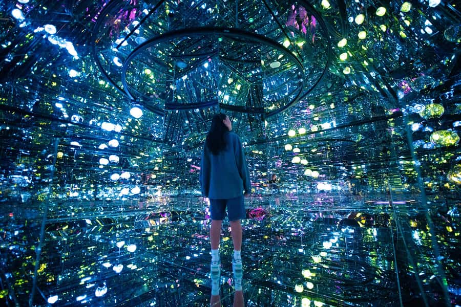 House of Hype - Dubai’s Ultimate Immersive Experience - The flower hunt and points system