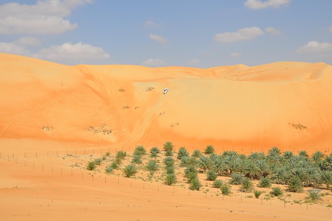 Liwa Full Day Desert Safari (exploring) - Key points to know before you book