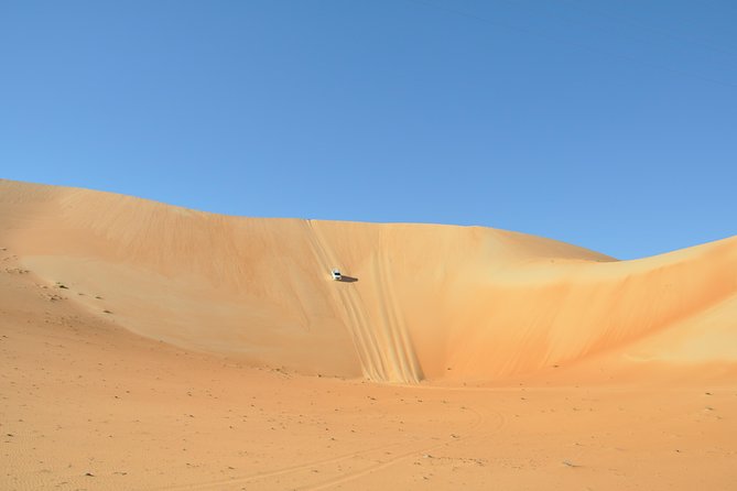 Liwa Full Day Desert Safari (exploring) - Sandboarding on the red dunes