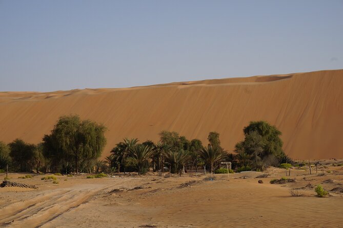 Liwa Full Day Desert Safari from Abu Dhabi - Desert photo stops and the Liwa sunset