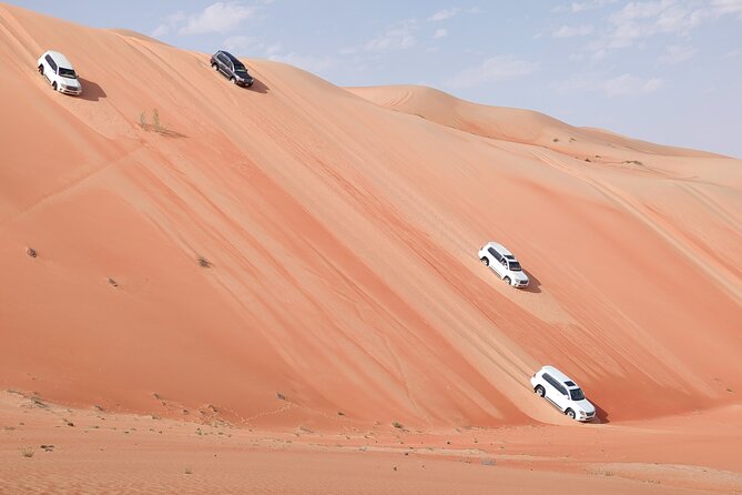 Liwa Oasis Desert Drive from Abu Dhabi - Key points to know before you book