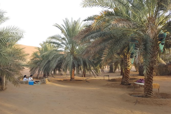 Liwa Oasis Desert Drive from Abu Dhabi - A picnic lunch beside the palm-fringed oasis