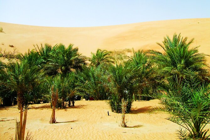 Liwa Over Night Safari - Stargazing in the open desert