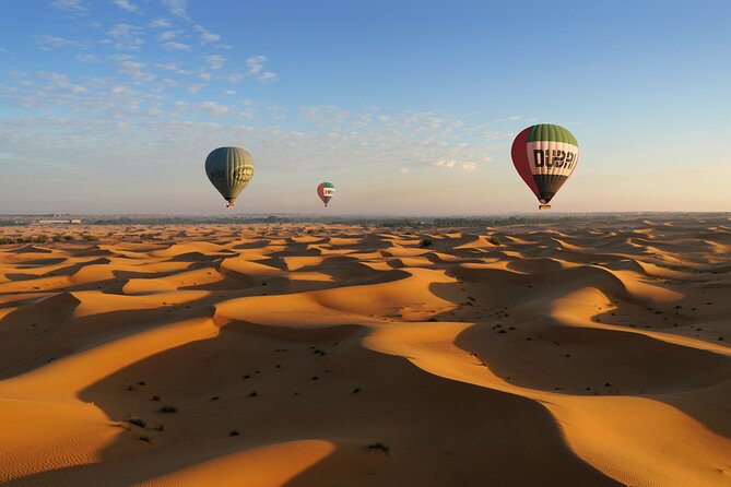 Luxury Hot Air Balloon, Land Rover Defender & Michelin Breakfast - Falcons flying beside the basket