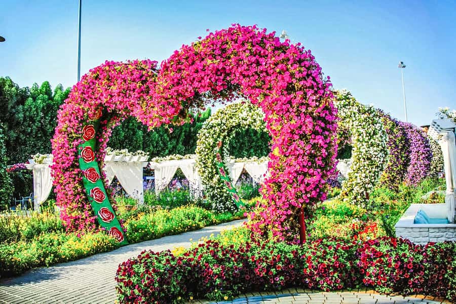 Miracle Flora & Fauna Marvels at Miracle Garden - Key points to know before booking