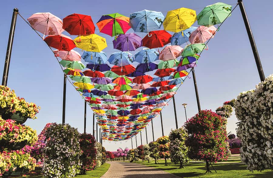 Miracle Flora & Fauna Marvels at Miracle Garden - A flower-filled break from Dubai’s towers