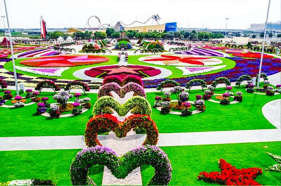 Miracle Flora & Fauna Marvels at Miracle Garden - Butterfly Garden: nine domes and a slower pace