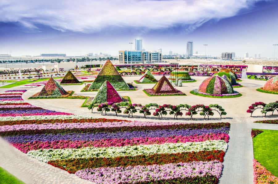 Miracle Flora & Fauna Marvels at Miracle Garden - What the $114 price includes