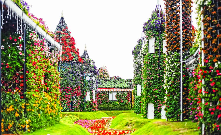 Miracle Flora & Fauna Marvels at Miracle Garden - Who will enjoy this tour most?