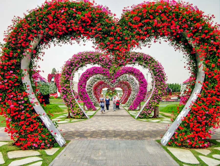 Miracle Flora & Fauna Marvels at Miracle Garden - Practical advice for a smoother visit