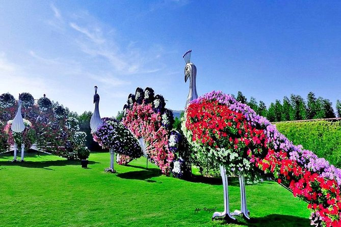 Miracle Garden: Dubai Flora and Fauna 4-Hour Tour - Is $107 a fair price?