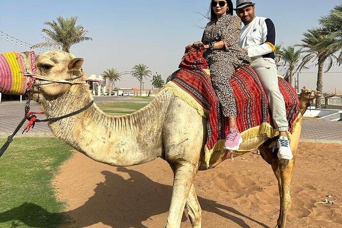 Morning Desert Safari, 25 Minutes ATV with 20 minutes Camel Ride - A 20-minute camel ride with limited time