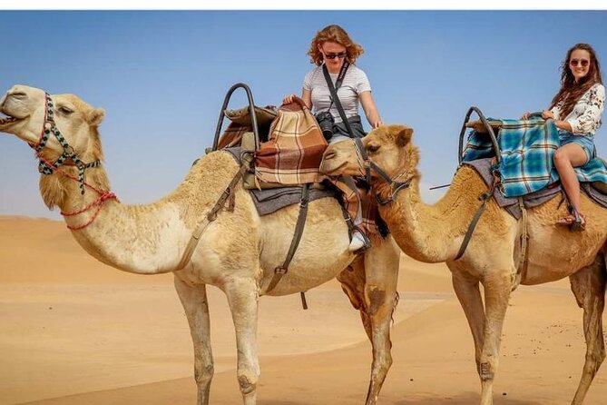Morning Desert Safari, 25 Minutes ATV with 20 minutes Camel Ride - The main event: 35 to 45 minutes of dune bashing