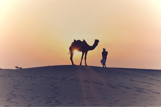 Morning Desert Safari, 25 Minutes ATV with 20 minutes Camel Ride - Red-dune photos and sandboarding