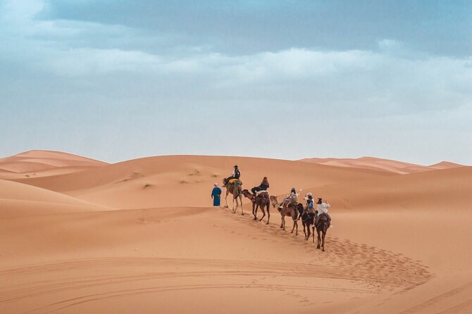 Morning Desert Safari From Abu Dhabi -Camel Ride,Sand Boarding,Camel Farm Visit - Dune bashing in a 4x4 Land Cruiser