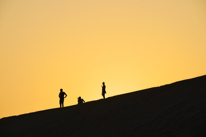 Morning Desert Safari with Camel Ride & Sand Skiing Private Tours - Sand skiing and boarding on Al Khatim’s dunes