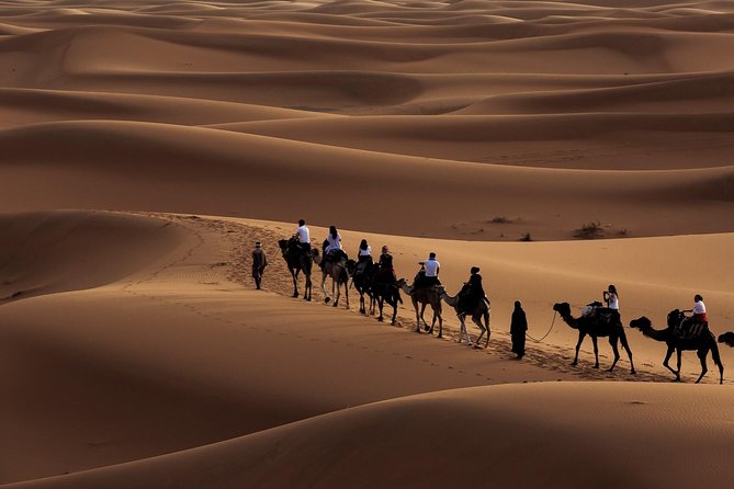 Morning Desert Safari with Dune Bashing and Sand Boarding - Key points at a glance