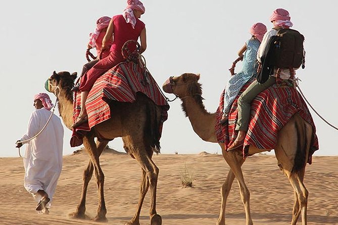 Morning Desert Safari with Quad Bike, Camel Ride & Sandboarding - A Short Camel Ride With a Traditional Feel