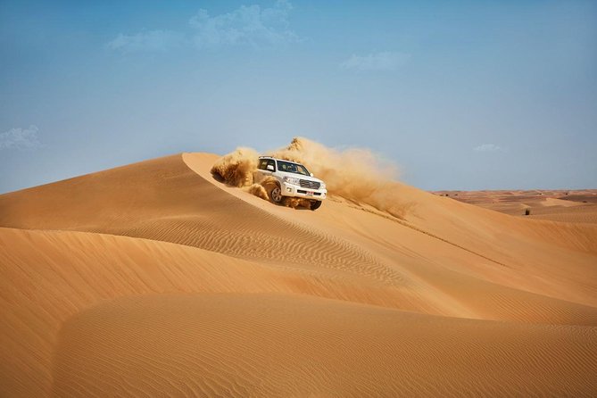 Morning Desert Safari with Quad Bike Tour Abu Dhabi - The camel farm gives the morning a slower start