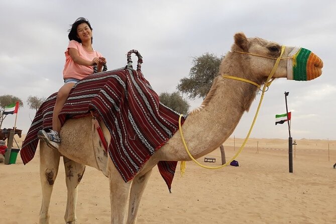 Morning Dubai desert safari - camel rides, quad bikes, dune buggies,dune bashing - The dune bash is the main attraction