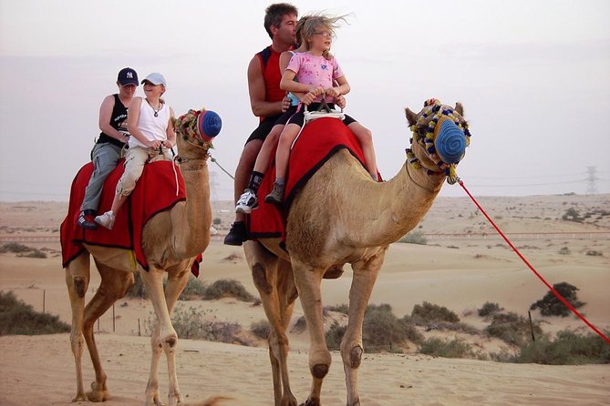 Morning Dubai Desert Safari with Camel Ride & Sand boarding - What the 4x4 dune bash feels like