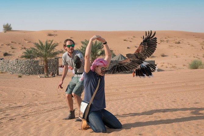 Morning Falconry & Nature Desert Safari with Transfers from Dubai - The 75-minute falconry show