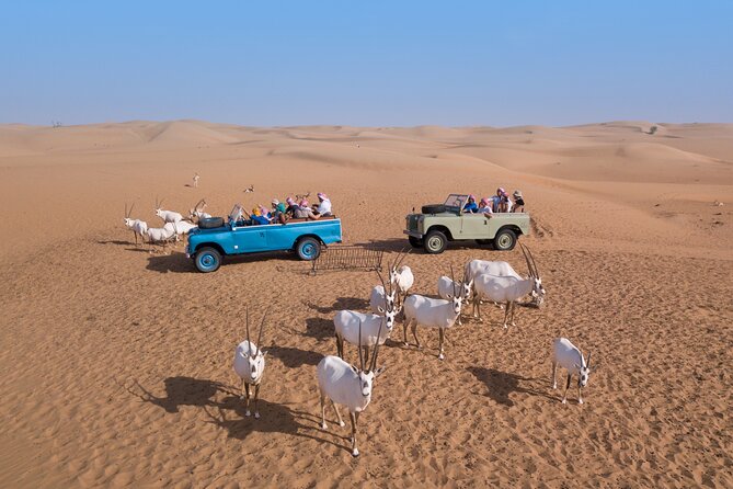 Morning Falconry & Nature Desert Safari with Transfers from Dubai - Breakfast at the Bedouin-style camp