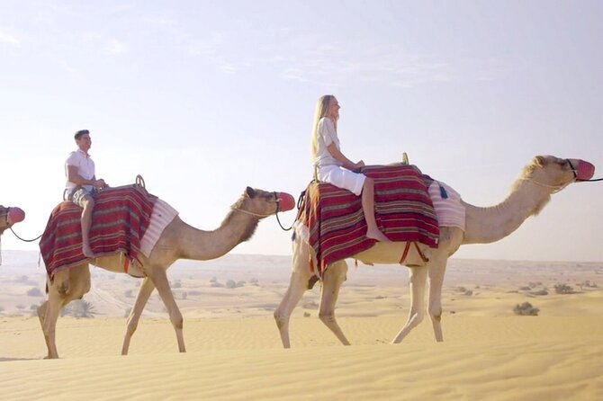 Morning Red Dunes Desert by Quad Bike, Dune Bashing, Camel Ride & Sandboarding - A slower camel ride after the engines