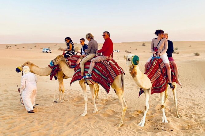 Morning Red Dunes Safari: Camel Ride & Sandboarding Adventure - Sandboarding on the Tall Dunes