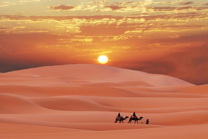 Morning Red Dunes Safari: Camel Ride & Sandboarding Adventure - The Camel Ride: Traditional Touch, Short Stop
