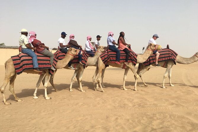 Morning Red Dunes with Camel Ride, Sandboarding and Refreshments - Sandboarding on the open sand