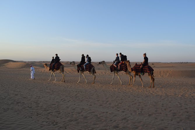 Morning Safari by 4x4 from Dubai with Sand Boarding - What the $35 price really covers