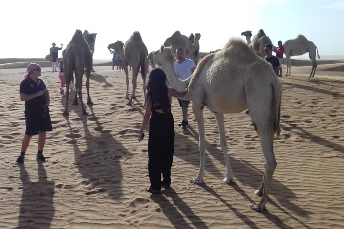 Morning Safari by 4x4 from Dubai with Sand Boarding - Who should choose this desert outing