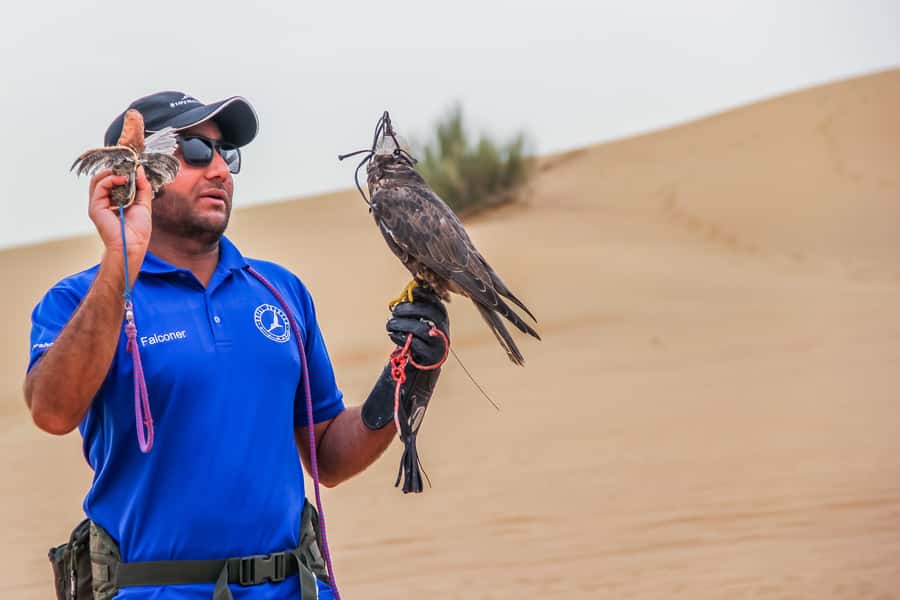 Overnight Dubai Desert Safari with BBQ Dinner - Henna, local snacks, and the evening shows