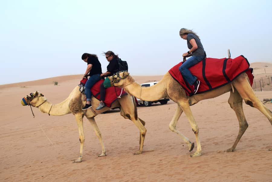 Overnight Dubai Desert Safari with BBQ Dinner - Dune driving and the first desert stops