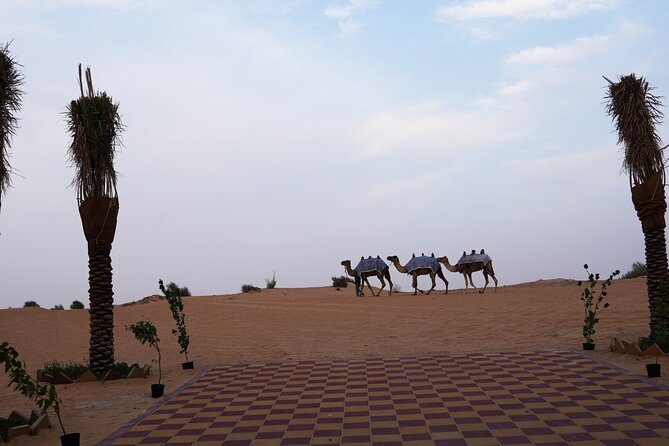 Premium Deluxe Dubai Safari with Camel Ride, Sandboard & BBQ - Camel riding, sandboarding, and camp activities