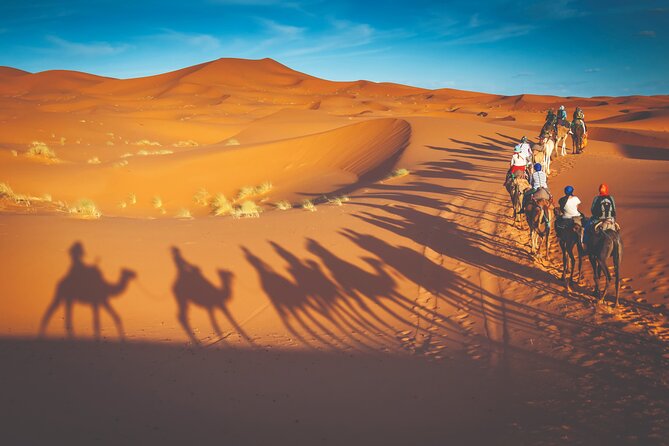 Premium Desert Safari with BBQ Dinner - Dubai - Lahbab dune driving and the changing desert light