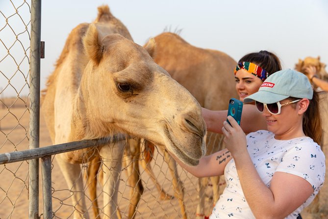 Premium Dubai Desert Safari with BBQ Dinner in the Red Dunes - BBQ dinner and what is actually served