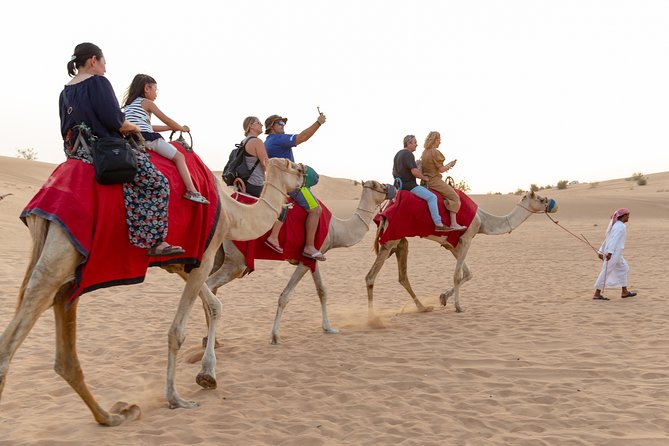 Premium Dubai Desert Safari with BBQ Dinner in the Red Dunes - What the $49 price delivers