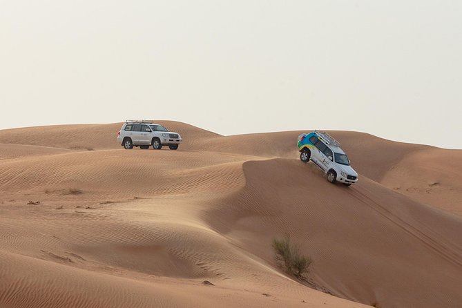 Premium Dubai Desert Safari with BBQ Dinner in the Red Dunes - The main thrill: 20 to 30 minutes of dune bashing