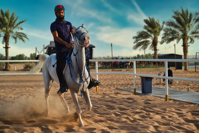 Premium Hot Air Balloon, Breakfast, Camel Ride, Quad Bike & More - Practical Details Before You Pay