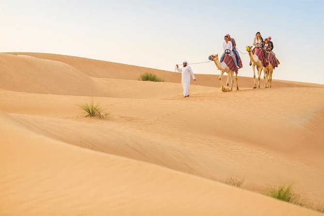 Premium Red Dunes Safari and Camel Safari with BBQ Dinner - Key points to know before booking