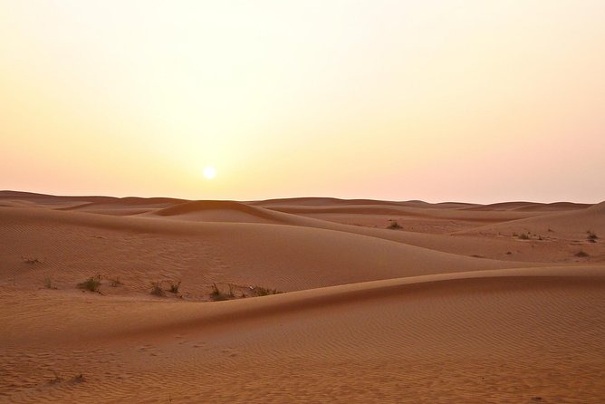 Premium Red Dunes Safari and Camel Safari with BBQ Dinner - Sandboarding, views, and the afternoon pause