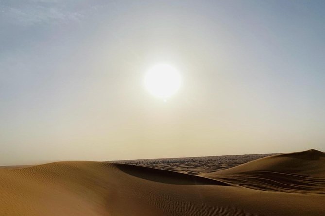 Premium Red Dunes Safari and Camel Safari with BBQ Dinner - Camel ride and traditional camp activities