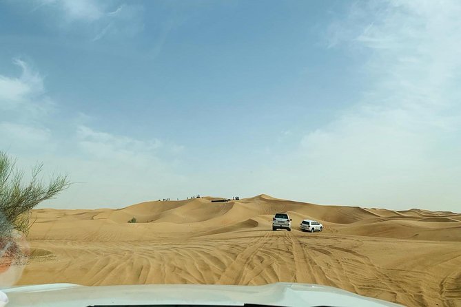 Premium Red Dunes Safari and Camel Safari with BBQ Dinner - BBQ dinner and live shows