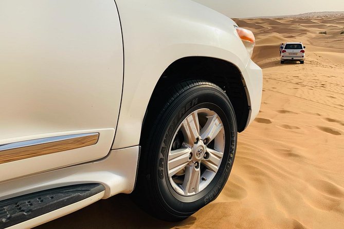 Premium Red Dunes Safari and Camel Safari with BBQ Dinner - Who will enjoy this safari most