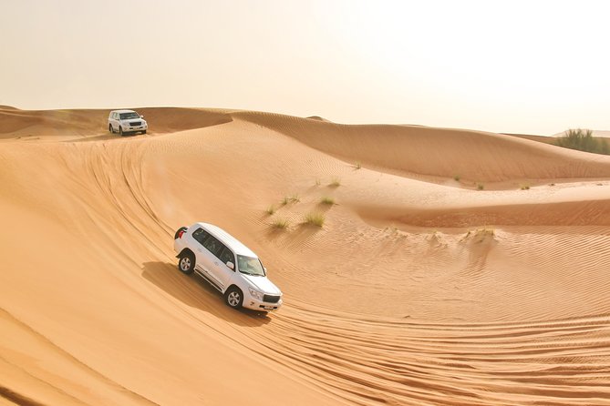 Private Abu Dhabi Evening Desert Safari (Exclusive) - The guide and the value of a private safari