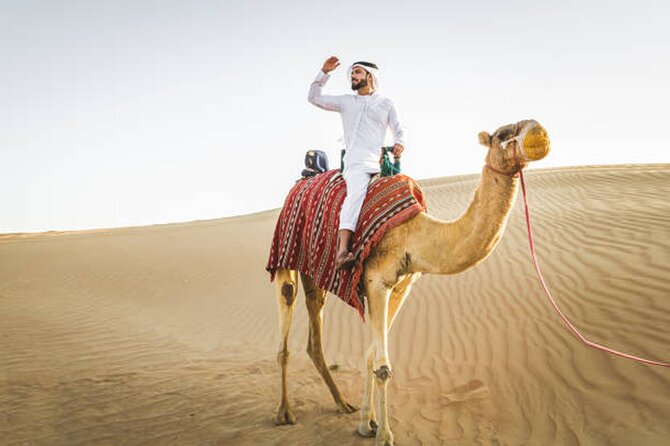 Private Desert Safari Tour in Dubai - Dune bashing in a 4WD vehicle